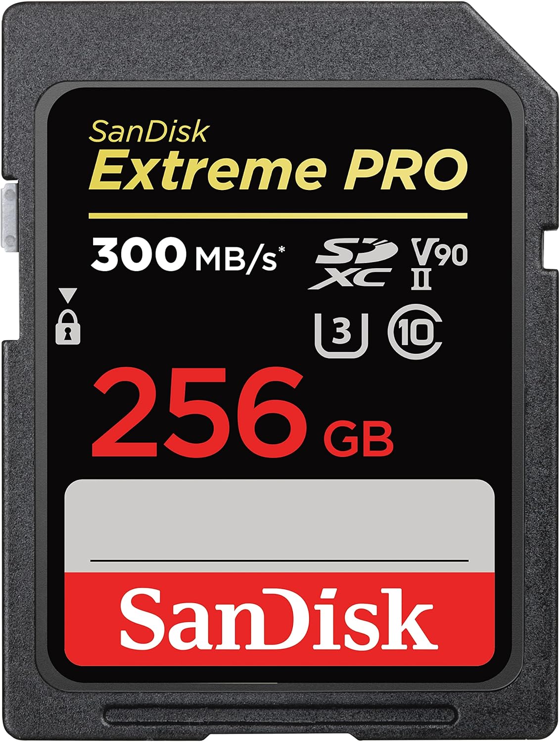 <strong>Extreme PRO SDXC V90 256GB</strong>